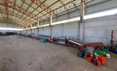 Warehouse for sale in Chiang Khian, Chiang Rai
