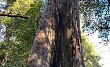 Casa en venta en PUCÓN