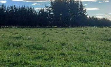 Parcela en venta  en VILLARRICA