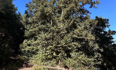 Parcela en venta en HUALQUI