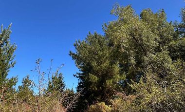 Parcela en venta en HUALQUI