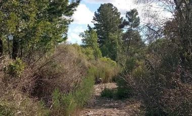 Parcela en venta en HUALQUI