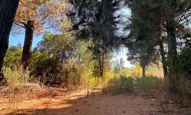 Parcela en venta en HUALQUI