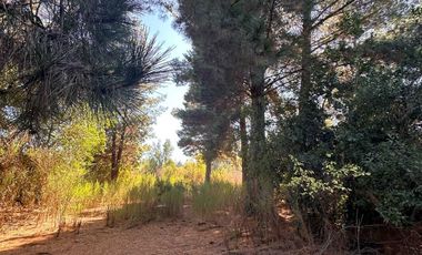 Parcela en venta en HUALQUI