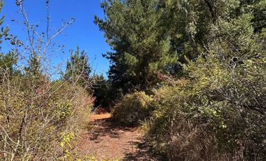 Parcela en venta en HUALQUI