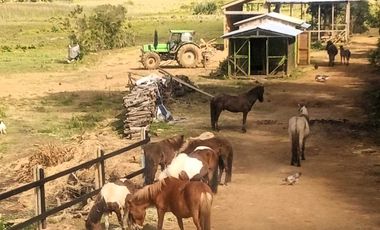 Parcela en venta en VALDIVIA