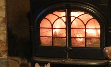 Parcela en venta en VALDIVIA