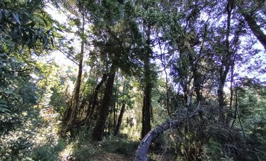 ARRIENDO AMPLIA CASA - LOTEO LOS AROMOS