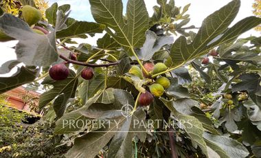 Amplia Casa Familiar en ubicación privilegiada