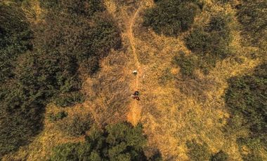 TERRENO EN VENTA EN OLIVAR DEL CONDE