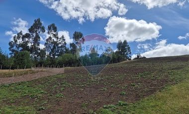 TERRENO UNICO 3 HA MIRAFLORES CHONCHI
