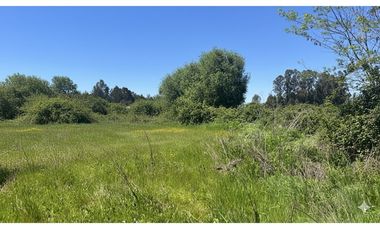 GRAN PARCELA EN LONGAVI