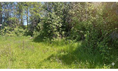 GRAN PARCELA EN LONGAVI