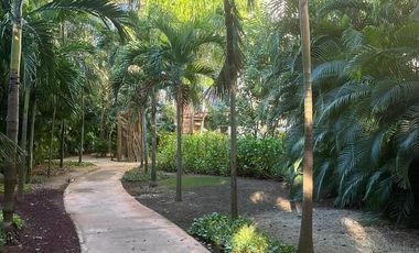 Departamento Amueblado en Renta en Anthea, Yucatán Country Club