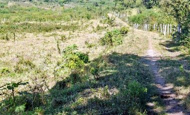 Venta de 102 Hectáreas | Tamiahua, Veracruz