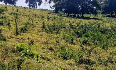 Venta de 102 Hectáreas | Tamiahua, Veracruz