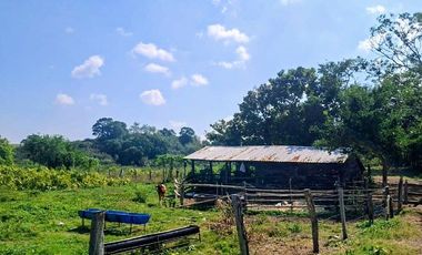 Venta de 102 Hectáreas | Tamiahua, Veracruz