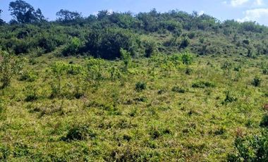 Venta de 102 Hectáreas | Tamiahua, Veracruz
