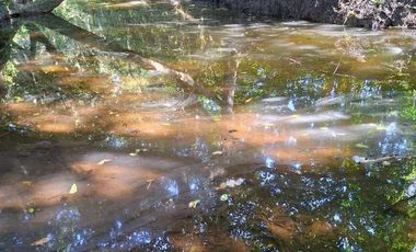 Venta de 102 Hectáreas | Tamiahua, Veracruz