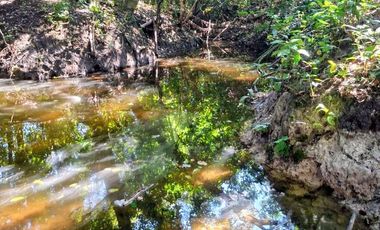 Venta de 102 Hectáreas | Tamiahua, Veracruz