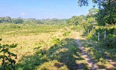 Venta de 102 Hectáreas | Tamiahua, Veracruz