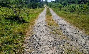Venta de 102 Hectáreas | Tamiahua, Veracruz