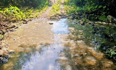 Venta de 102 Hectáreas | Tamiahua, Veracruz