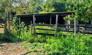 Venta de 102 Hectáreas | Tamiahua, Veracruz