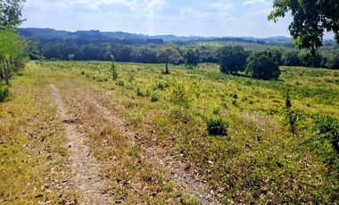 Venta de 102 Hectáreas | Tamiahua, Veracruz