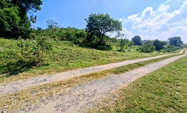 Venta de 102 Hectáreas | Tamiahua, Veracruz