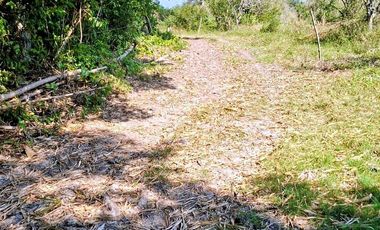 Venta de 102 Hectáreas | Tamiahua, Veracruz