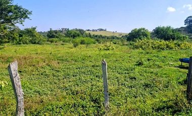 Venta de 102 Hectáreas | Tamiahua, Veracruz