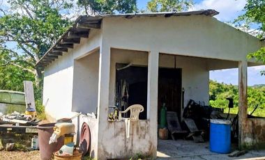 Venta de 102 Hectáreas | Tamiahua, Veracruz