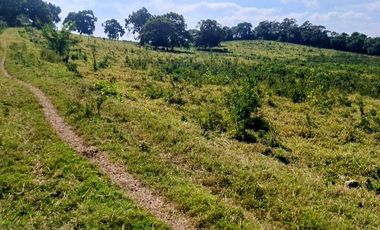 Venta de 102 Hectáreas | Tamiahua, Veracruz