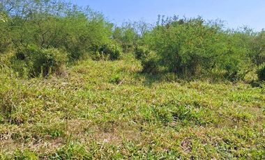 Venta de 102 Hectáreas | Tamiahua, Veracruz