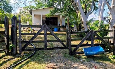Venta de 102 Hectáreas | Tamiahua, Veracruz