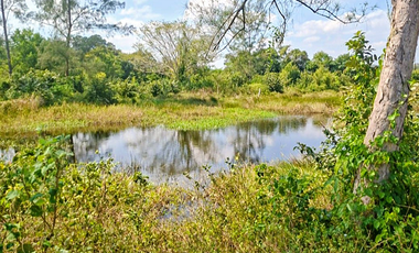 Venta de 102 Hectáreas | Tamiahua, Veracruz