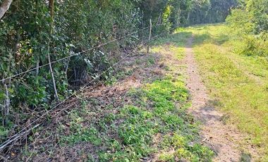 Venta de 102 Hectáreas | Tamiahua, Veracruz