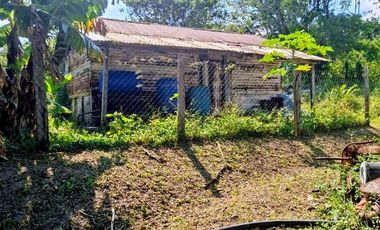 Venta de 102 Hectáreas | Tamiahua, Veracruz