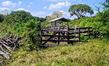 Venta de 102 Hectáreas | Tamiahua, Veracruz