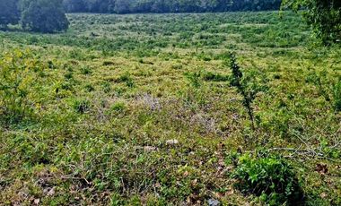 Venta de 102 Hectáreas | Tamiahua, Veracruz