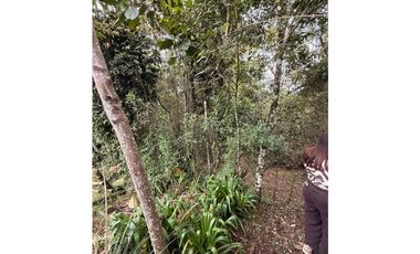 Venta Finca  Santa Elena con domo glamping independiente