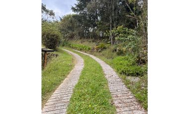 Venta Finca  Santa Elena con domo glamping independiente