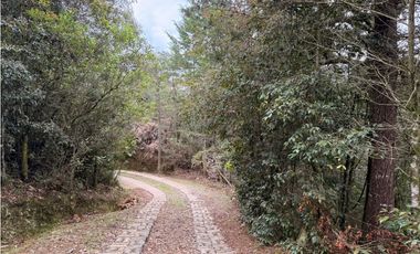 Venta Finca  Santa Elena con domo glamping independiente