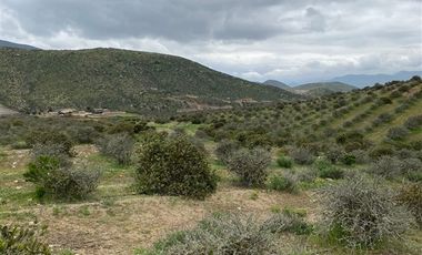 Parcela en Venta en Sector el Rosario Estancia Carmin del Elqui
