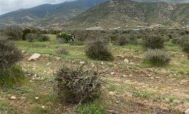Parcela en Venta en Sector el Rosario Estancia Carmin del Elqui