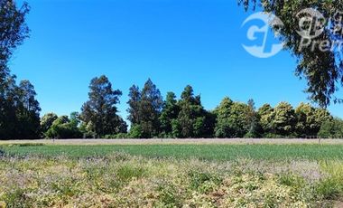 Sitio en Venta en Ruta 671 San Ignacio Ñuble