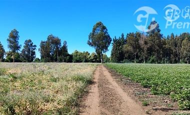 Sitio en Venta en Ruta 671 San Ignacio Ñuble