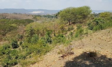 VENDO Terreno 4,320 m2 Vía a la Costa Lotización Tiffany 42m frente Pcas
