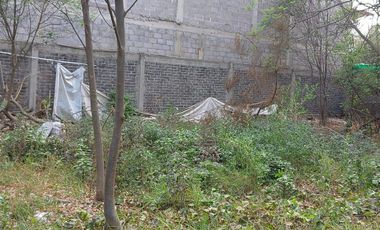 RENTA XOCHIMILCO TERREN O